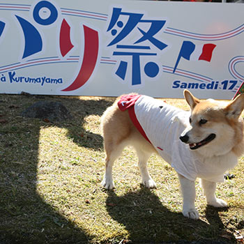 FBMイメージ