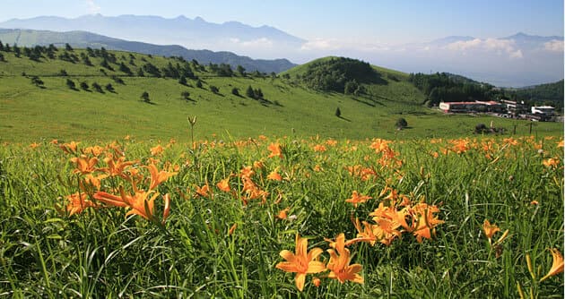 車山高原に到着!